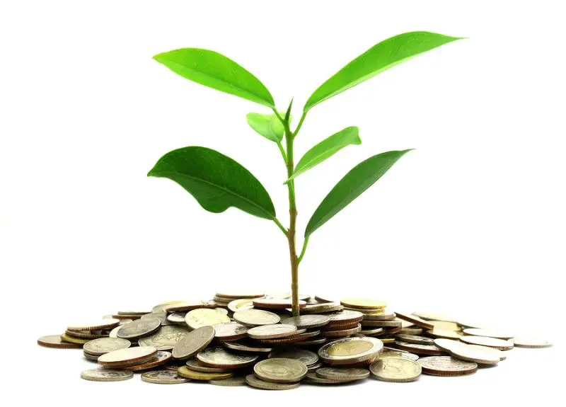 Инвестиции SKF в сохранение экологии | Свежие новости в Барнауле